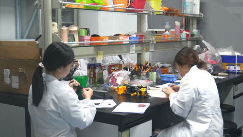 小玩具玩轉(zhuǎn)大市場 玩具禮品之都活力無限，技術(shù)服務(wù)賦能產(chǎn)業(yè)升級